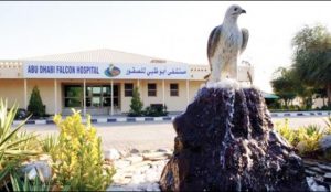 abudhabi eagle hospital
