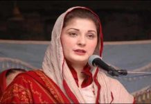مریم نواز نے 10 سالہ برطانوی ویزے کی درخواست دے دی