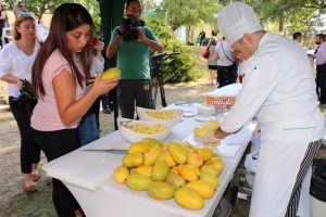 ankara mango festival