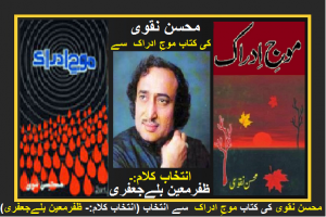 Mohsin Naqvi Moaj.e.Idrak