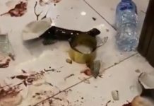 پراپرٹی ٹائیکون ملک ریاض کی بیٹیوں کی غندہ گردی
